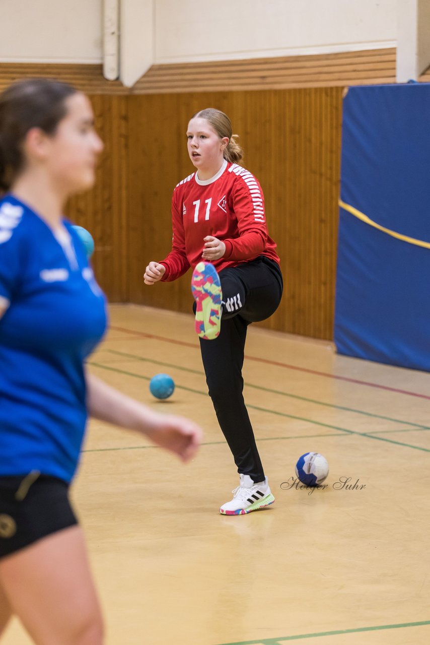 Bild 92 - wCJ TSV Ellerau - SG Pahlhude/Tellingstedt : Ergebnis: 21:18